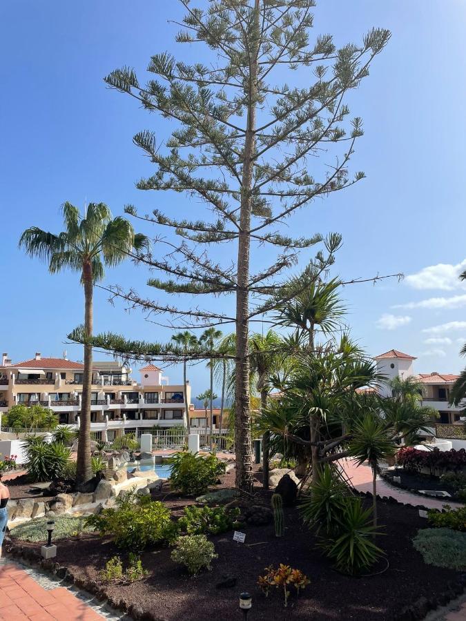 Paraiso Albatros, Beautiful Complex San Miguel de Abona Luaran gambar